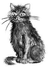 Load image into Gallery viewer, BOOK 5 - THE TALE OF FLORENCE AND THE BLACK CAT