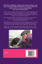 Load image into Gallery viewer, Beatrix the Time Travelling Collie
