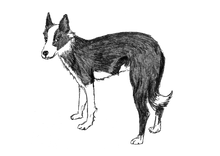 Load image into Gallery viewer, BOOK 3 - THE TALE OF FLORENCE AND THE LOST SEA KELPIES
